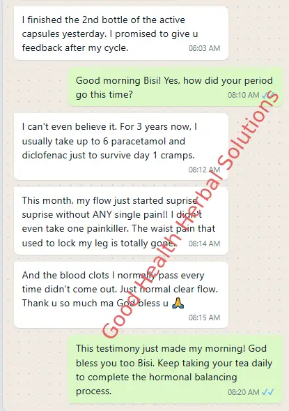 WhatsApp Customer Testimonial 3